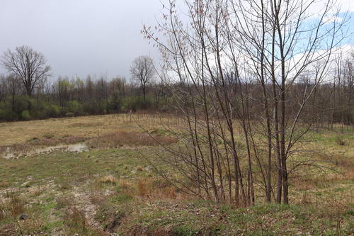Chief Pontiac Speedway (Lake Angelus Speedway) - The Lot In April 2021